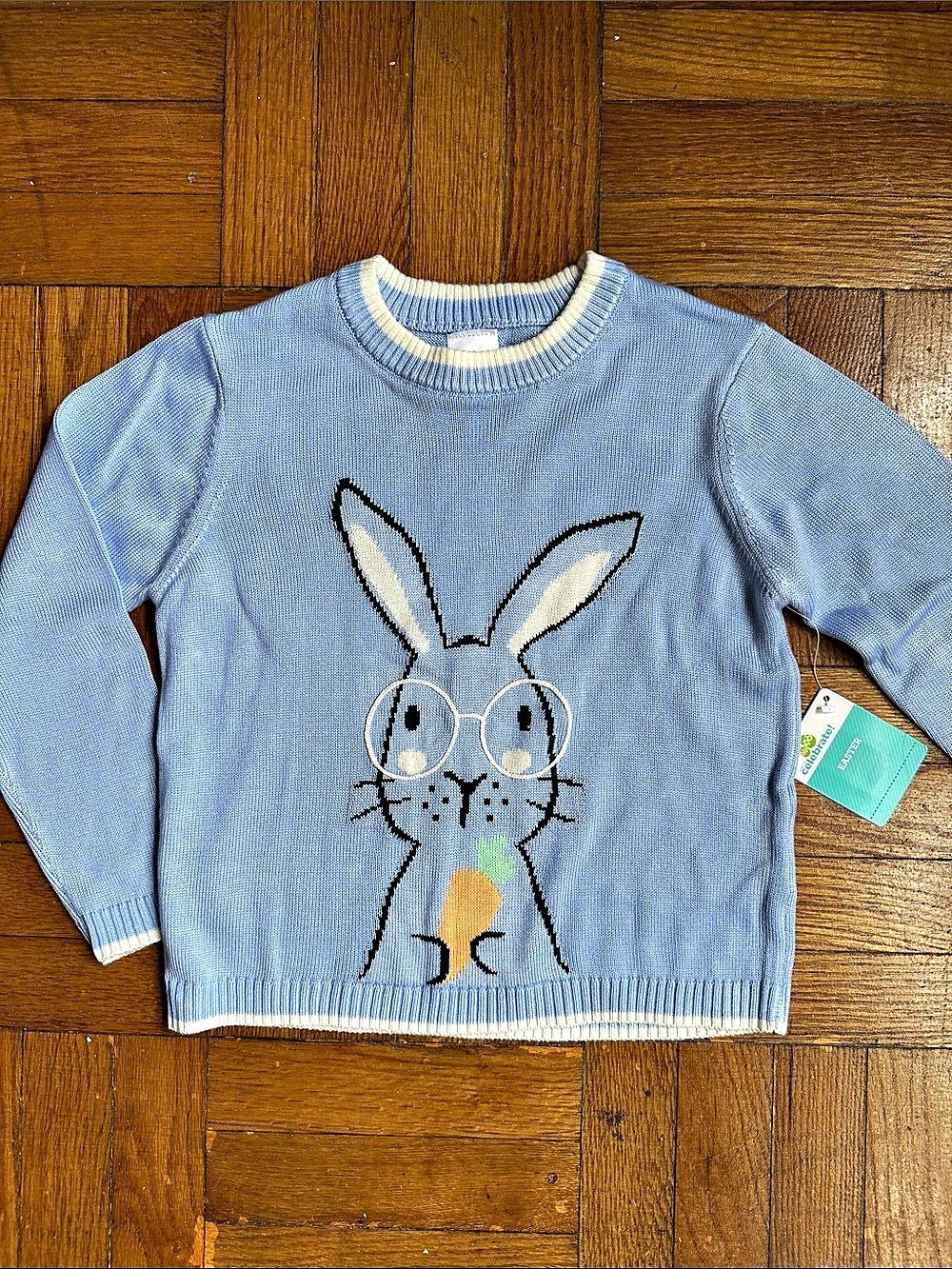 Celebrate Easter Kids Blue Bunny Sweater NWT